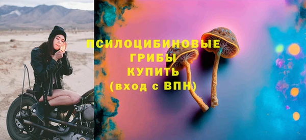mdpv Белокуриха