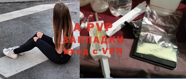 mdpv Белокуриха