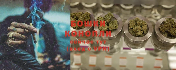mdpv Белокуриха